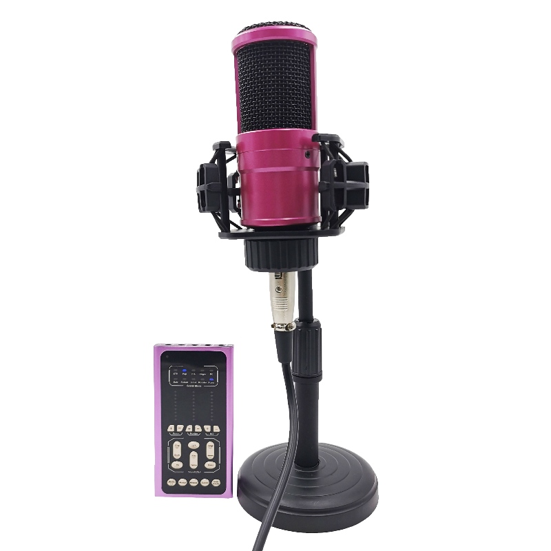 FB-LSC500 Super Slim Dimensiune multifuncțională Voice Changer Live Sound și set de microfon